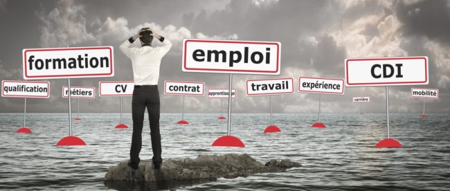 accompagnement-emploi-650×276